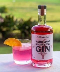 Perkins & Sons Barbados Sugar Cane Gin Hibiscus Sorrel 70cl