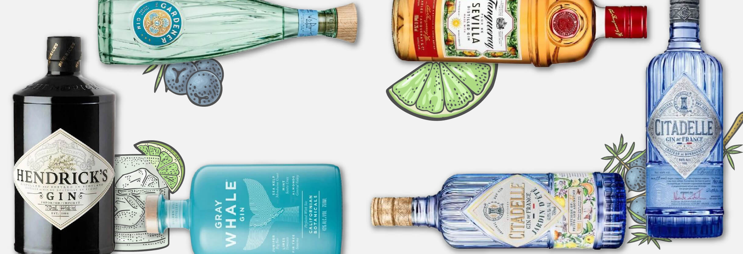Explore Gin's Flavour Spectrum 