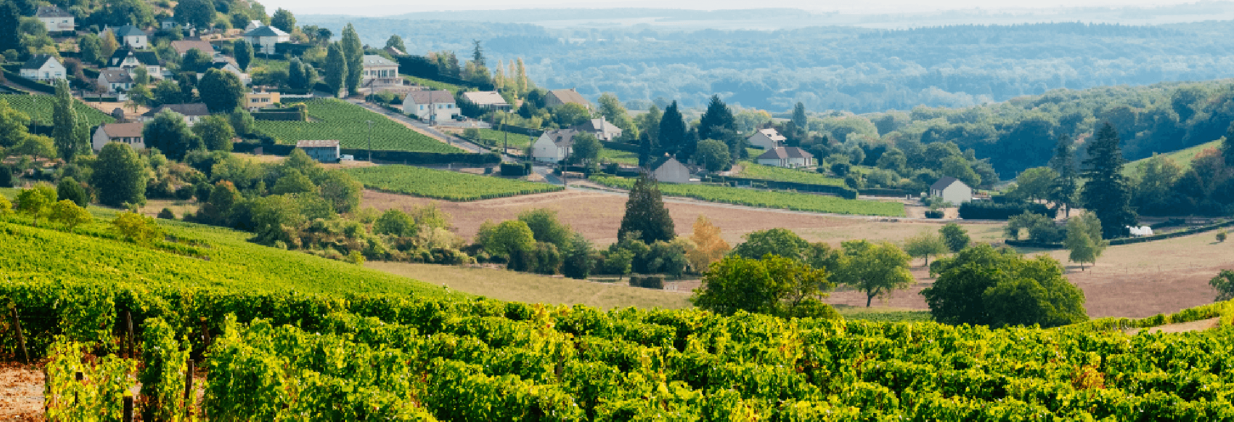 The Sancerre Wine Region