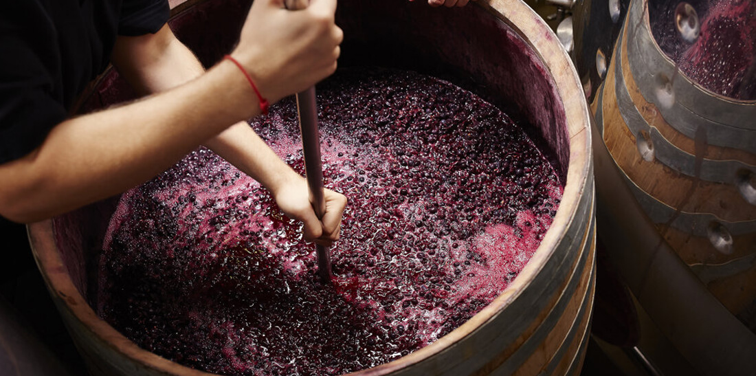 Are you fluent in winespeak? Test your skills with these 8 interesting wine blend definitions!