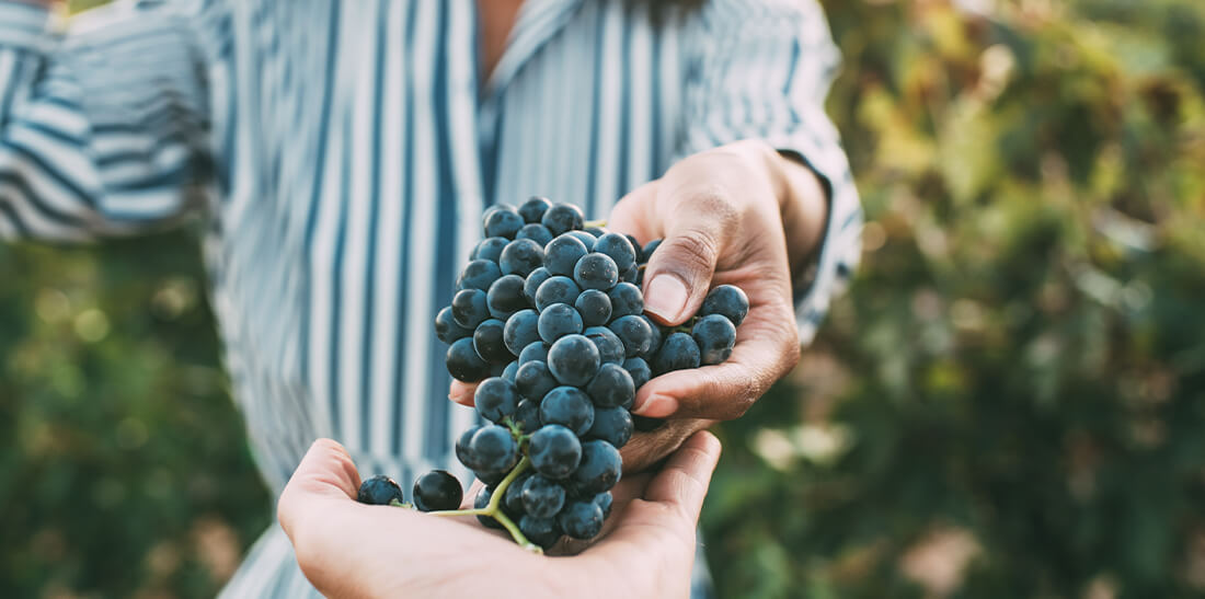 Women in Wine - Spirits